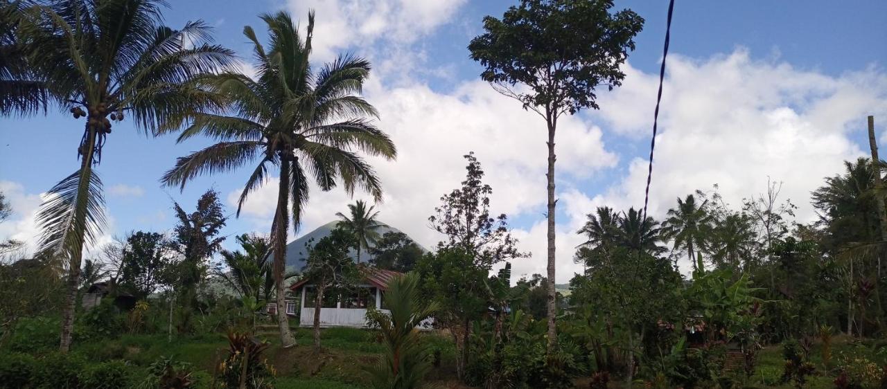 Talaga Tomohon Home Stay And Fishing Pond Exterior photo
