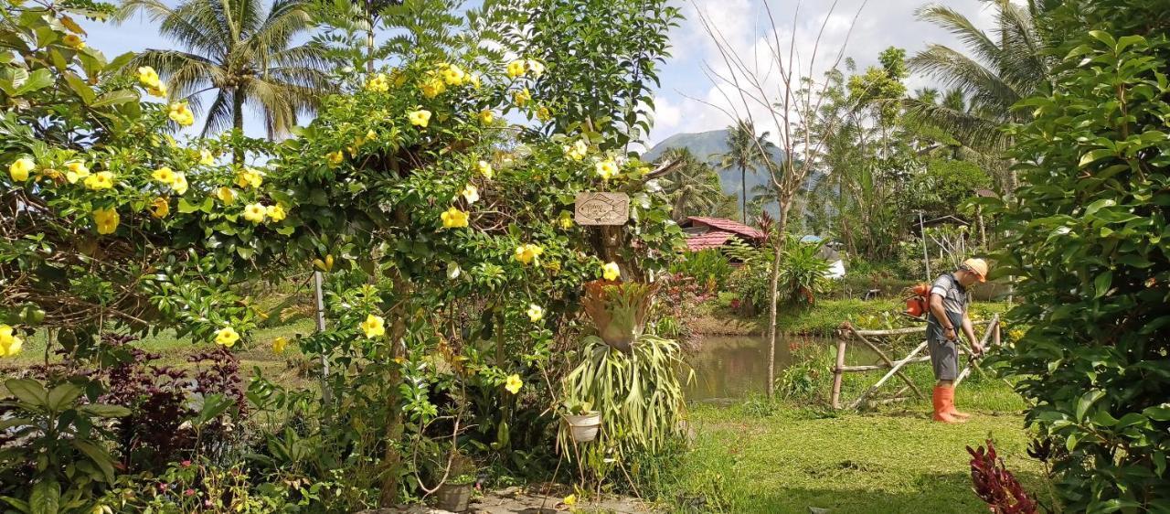 Talaga Tomohon Home Stay And Fishing Pond Exterior photo