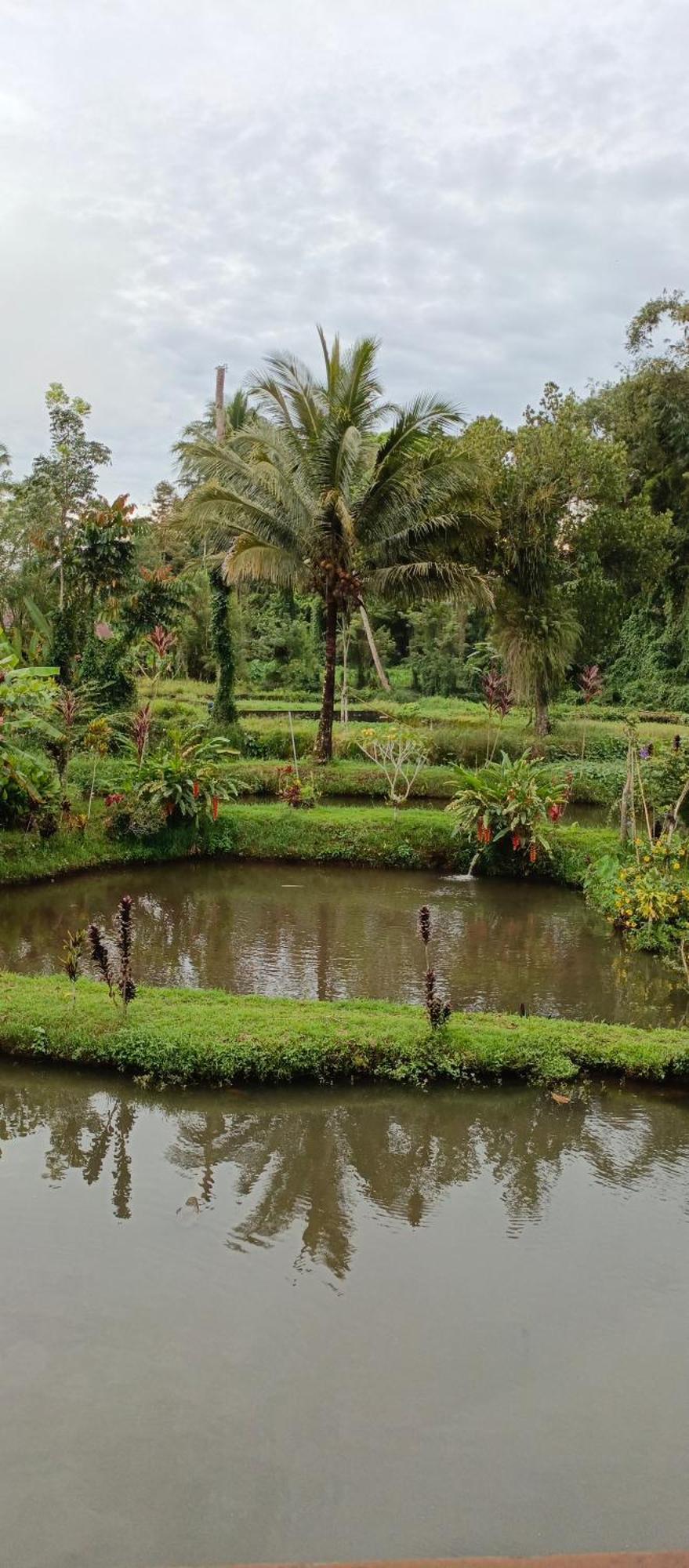 Talaga Tomohon Home Stay And Fishing Pond Exterior photo