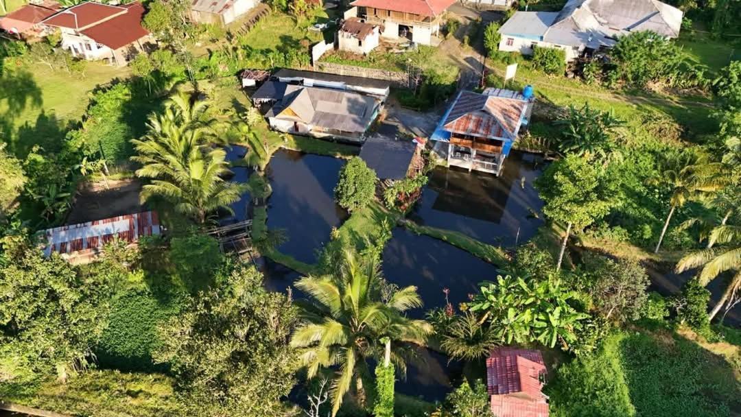 Talaga Tomohon Home Stay And Fishing Pond Exterior photo